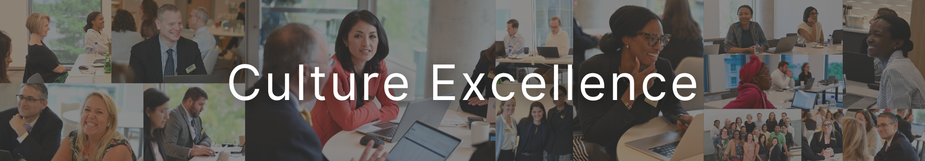 Culture Excellence &amp; Equity