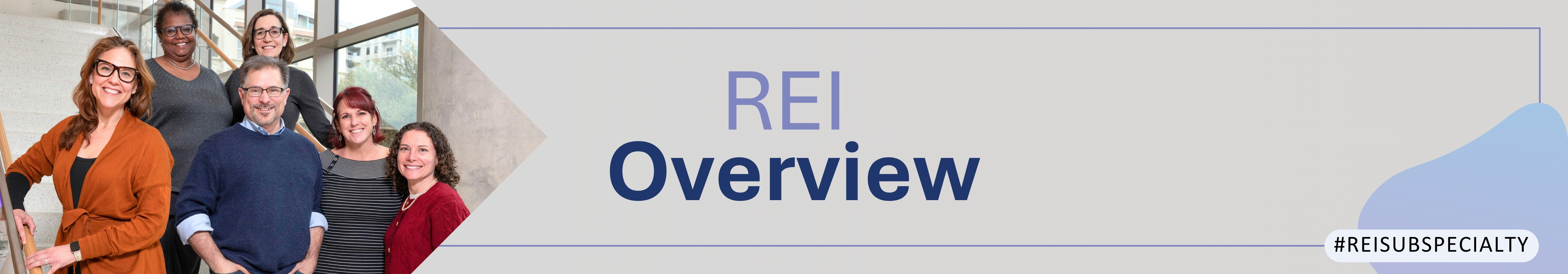 REI Overview